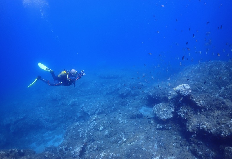 Reef Dive Kusadasi